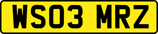 WS03MRZ
