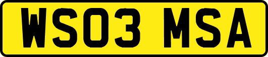 WS03MSA