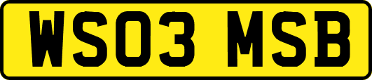 WS03MSB