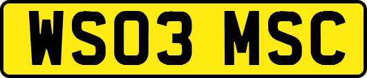 WS03MSC