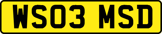 WS03MSD