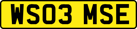 WS03MSE