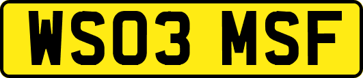 WS03MSF