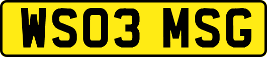 WS03MSG
