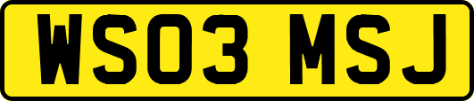 WS03MSJ