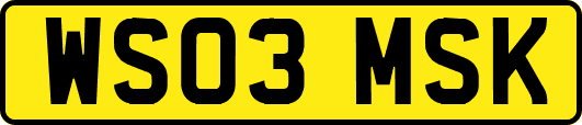 WS03MSK
