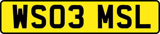 WS03MSL