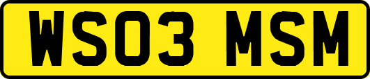 WS03MSM