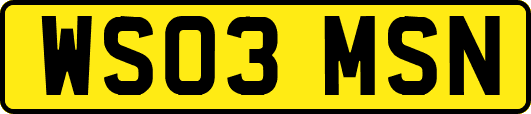 WS03MSN