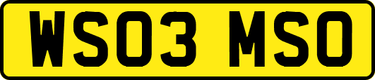 WS03MSO