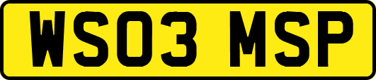 WS03MSP