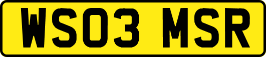 WS03MSR