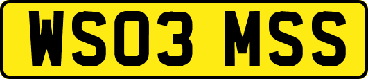 WS03MSS