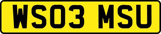 WS03MSU
