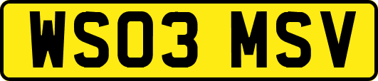 WS03MSV