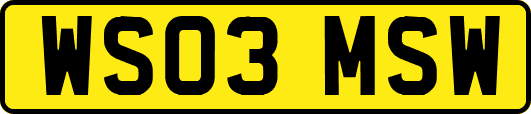 WS03MSW
