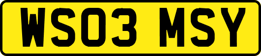WS03MSY