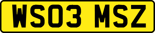 WS03MSZ
