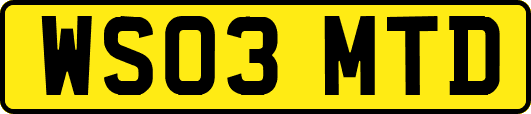 WS03MTD