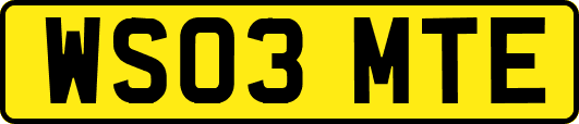 WS03MTE