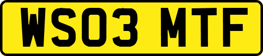 WS03MTF