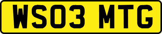 WS03MTG