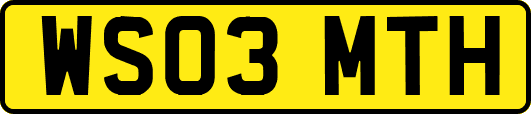WS03MTH