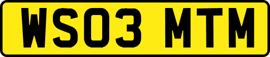 WS03MTM