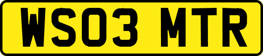 WS03MTR
