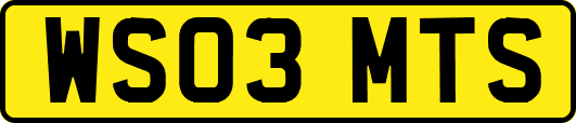 WS03MTS