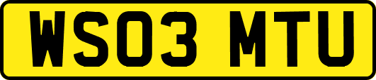 WS03MTU