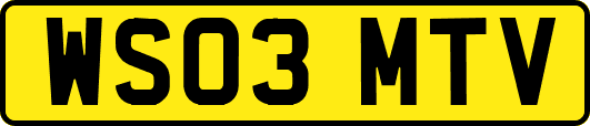 WS03MTV