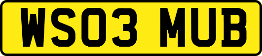 WS03MUB