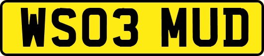 WS03MUD