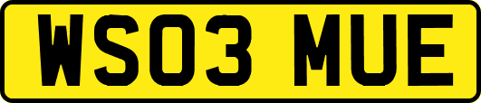 WS03MUE