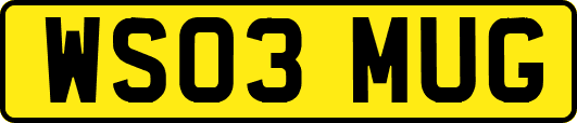 WS03MUG