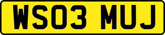 WS03MUJ