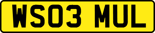 WS03MUL