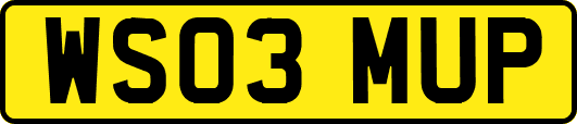 WS03MUP