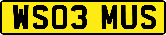 WS03MUS