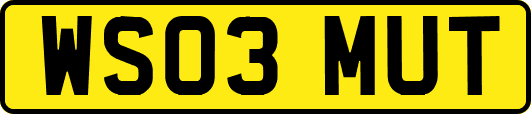 WS03MUT