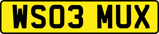 WS03MUX