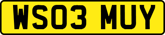 WS03MUY