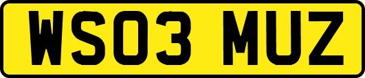 WS03MUZ