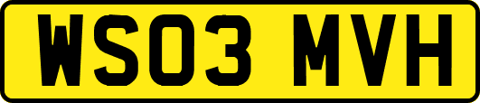 WS03MVH