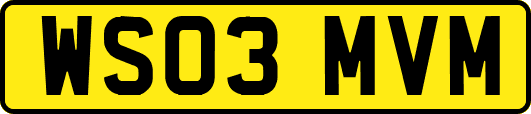 WS03MVM