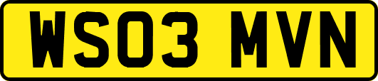 WS03MVN
