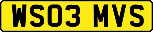 WS03MVS