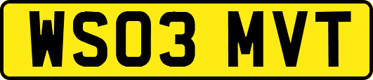 WS03MVT