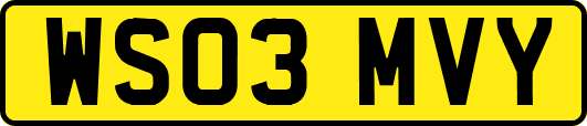 WS03MVY